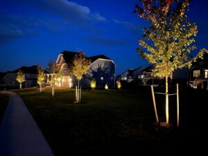 Landscape Lighting by Bell Landscaping